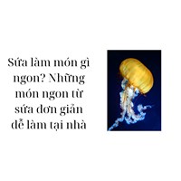 Sứa làm món gì ngon? Những món ngon từ sứa đơn giản dễ làm tại nhà