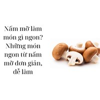 Nấm mỡ làm món gì ngon? Những món ngon từ nấm mỡ đơn giản, dễ làm