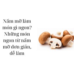 Nấm mỡ làm món gì ngon? Những món ngon từ nấm mỡ đơn giản, dễ làm