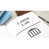 Hồ sơ tự kiểm tra việc thực hiện pháp luật lao động trực tuyến gồm?