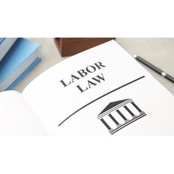 Hồ sơ tự kiểm tra việc thực hiện pháp luật lao động trực tuyến gồm?