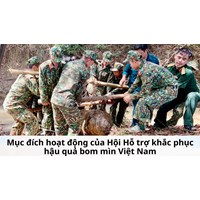 Mục đích hoạt động của Hội Hỗ trợ khắc phục hậu quả bom mìn Việt Nam