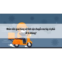 Nhân viên giao hàng vô tình vận chuyển ma túy có phải đi tù không?