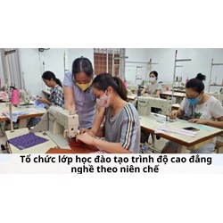 Tổ chức lớp học đào tạo trình độ cao đẳng nghề theo niên chế
