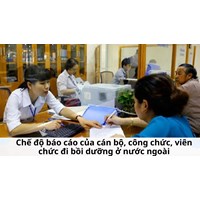 Chế độ báo cáo của cán bộ, công chức, viên chức đi bồi dưỡng ở nước ngoài