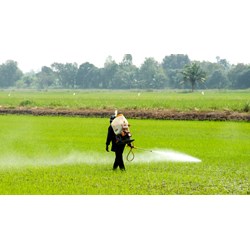 Thủ tục thành lập công ty kinh doanh thuốc bảo vệ thực vật thế nào?