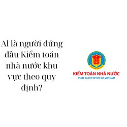 Al là người đứng đầu Kiểm toán nhà nước khu vực theo quy định?