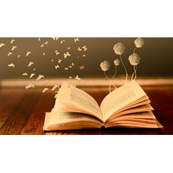 Biện pháp chêm xen là gì? Tác dụng, dấu hiệu, ví dụ về phép chêm xen?