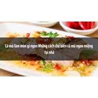 Cá mú làm món gì ngon? Những cách chế biến cá mú ngon miệng tại nhà