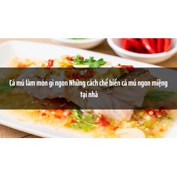 Cá mú làm món gì ngon? Những cách chế biến cá mú ngon miệng tại nhà