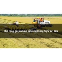 Thực trạng, giải pháp đảm bảo an ninh lương thực ở Việt Nam