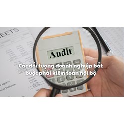 Các đối tượng doanh nghiệp bắt buộc phải kiểm toán nội bộ