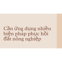 Cần ứng dụng nhiều biện pháp phục hồi đất nông nghiệp