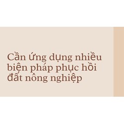 Cần ứng dụng nhiều biện pháp phục hồi đất nông nghiệp