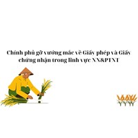 Chính phủ gỡ vướng mắc về Giấy phép và Giấy chứng nhận trong lĩnh vực NN&PTNT