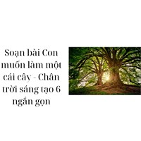 Soạn bài Con muốn làm một cái cây - Chân trời sáng tạo 6 ngắn gọn