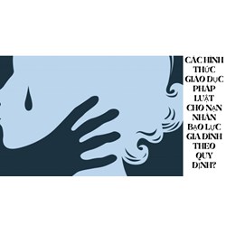 Các hình thức giáo dục pháp luật cho nạn nhân bạo lực gia đình theo quy định?