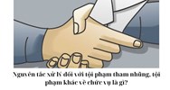 Nguyên tắc xử lý đối với tội phạm tham nhũng, tội phạm khác về chức vụ là gì?