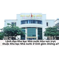 Lãnh đạo Kho bạc Nhà nước khu vực trực thuộc Kho bạc Nhà nước ở tỉnh gồm những ai?