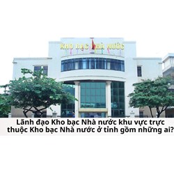 Lãnh đạo Kho bạc Nhà nước khu vực trực thuộc Kho bạc Nhà nước ở tỉnh gồm những ai?