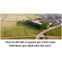 Chuyển đổi đất có nguồn gốc trước năm 1980 được quy định như thế nào?