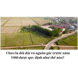 Chuyển đổi đất có nguồn gốc trước năm 1980 được quy định như thế nào?