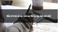 Mẫu tờ trình về việc sinh con thứ ba theo quy định mới nhất