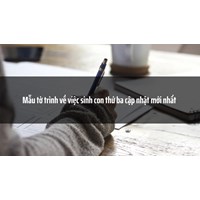 Mẫu tờ trình về việc sinh con thứ ba theo quy định mới nhất
