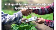 Ai là người đại diện theo pháp luật của Quỹ Hỗ trợ nông dân?