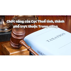 Chức năng của Cục Thuế tỉnh, thành phố trực thuộc Trung ương