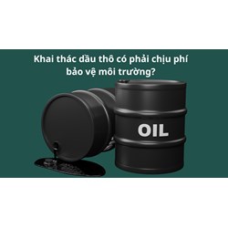 Khai thác dầu thô có phải chịu phí bảo vệ môi trường?