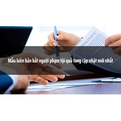 Mẫu biên bản bắt người phạm tội quả tang cập nhật mới nhất