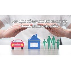 Quy định về quỹ liên kết chung của doanh nghiệp bảo hiểm