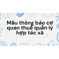 Mẫu thông báo cơ quan thuế quản lý hợp tác xã chuẩn nhất 2024