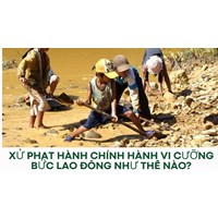 Xử phạt hành chính hành vi cưỡng bức lao động như thế nào?
