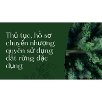 Thủ tục, hồ sơ chuyển nhượng quyền sử dụng đất rừng đặc dụng