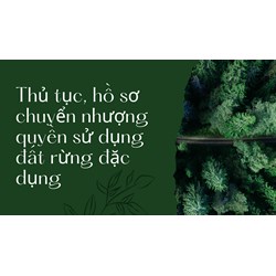 Thủ tục, hồ sơ chuyển nhượng quyền sử dụng đất rừng đặc dụng