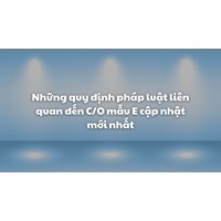 Những quy định pháp luật liên quan đến C/O mẫu E cập nhật mới nhất