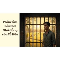 Phân tích bài thơ Nhớ đồng của Tố Hữu siêu hay Ngữ văn 11