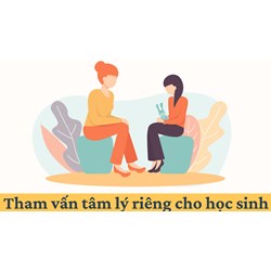 Quy định về việc tham vấn tâm lý riêng cho học sinh