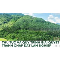 Thủ tục và quy trình giải quyết tranh chấp đất lâm nghiệp