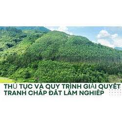 Thủ tục và quy trình giải quyết tranh chấp đất lâm nghiệp