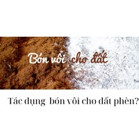 Tác dụng  bón vôi cho đất phèn?