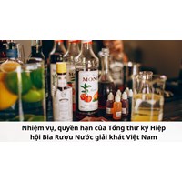 Nhiệm vụ, quyền hạn của Tổng thư ký Hiệp hội Bia Rượu Nước giải khát Việt Nam