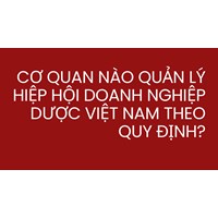 Cơ quan nào quản lý Hiệp hội Doanh nghiệp Dược Việt Nam theo quy định?