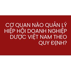 Cơ quan nào quản lý Hiệp hội Doanh nghiệp Dược Việt Nam theo quy định?