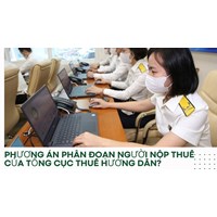 Phương án phân đoạn người nộp thuế của Tổng Cục thuế hướng dẫn?