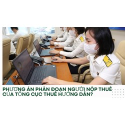 Phương án phân đoạn người nộp thuế của Tổng Cục thuế hướng dẫn?