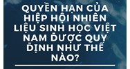 Quyền hạn của Hiệp hội Nhiên liệu sinh học Việt Nam được quy định như thế nào?