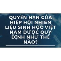 Quyền hạn của Hiệp hội Nhiên liệu sinh học Việt Nam được quy định như thế nào?